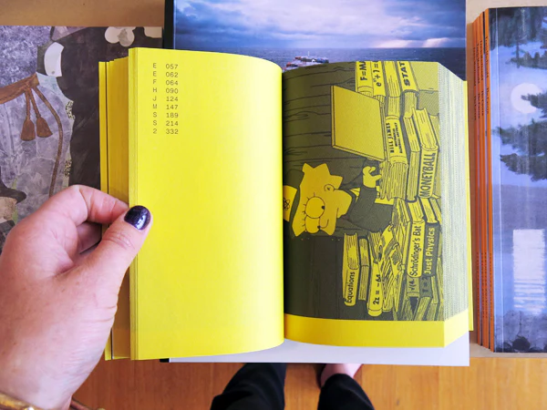 A Final Companion To Books From The Simpsons (Updated Version) - Image 4