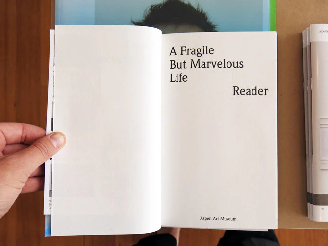 A Fragile But Marvelous Life - Image 3