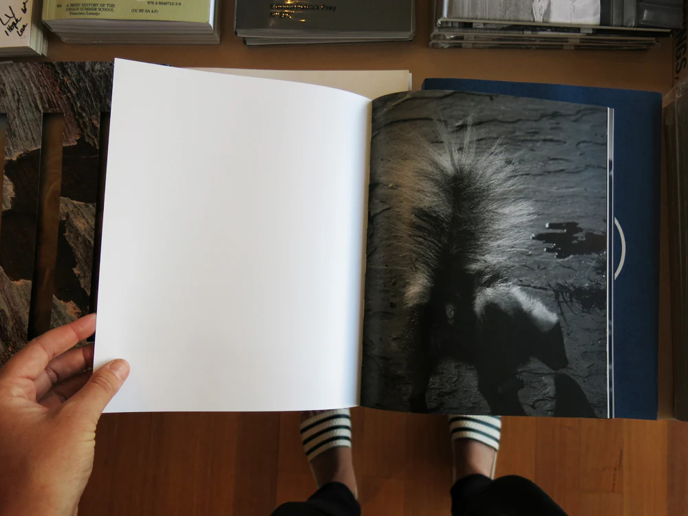 Adam Pape – Dyckman Haze - Image 8