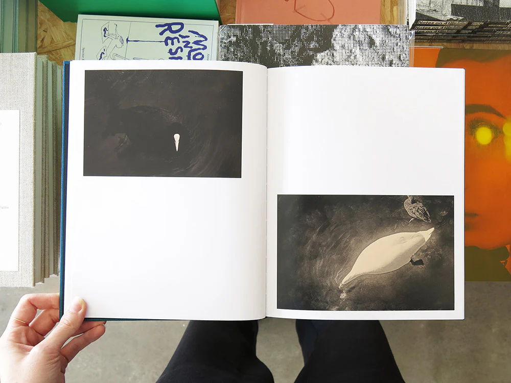 Albarrán Cabrera – On Birds (Des oiseaux) - Image 3