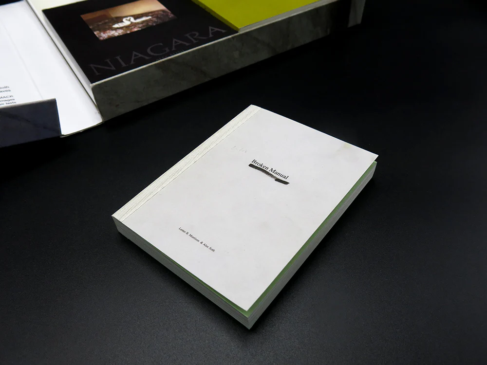 Alec Soth – Gathered Leaves (Rare) - Image 3