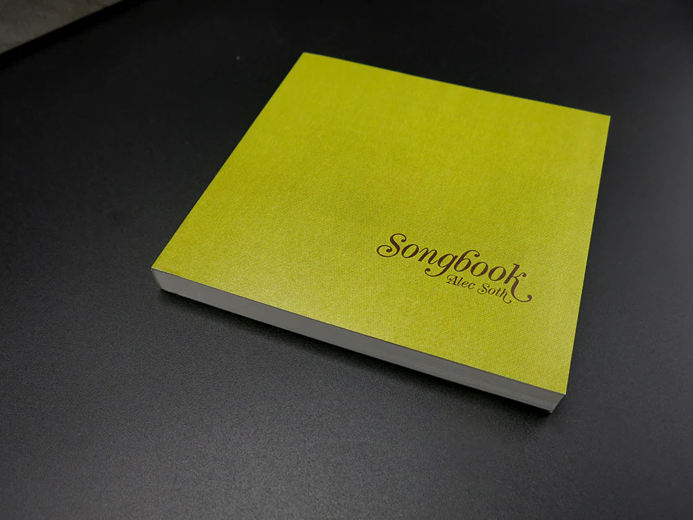 Alec Soth – Gathered Leaves (Rare) - Image 4