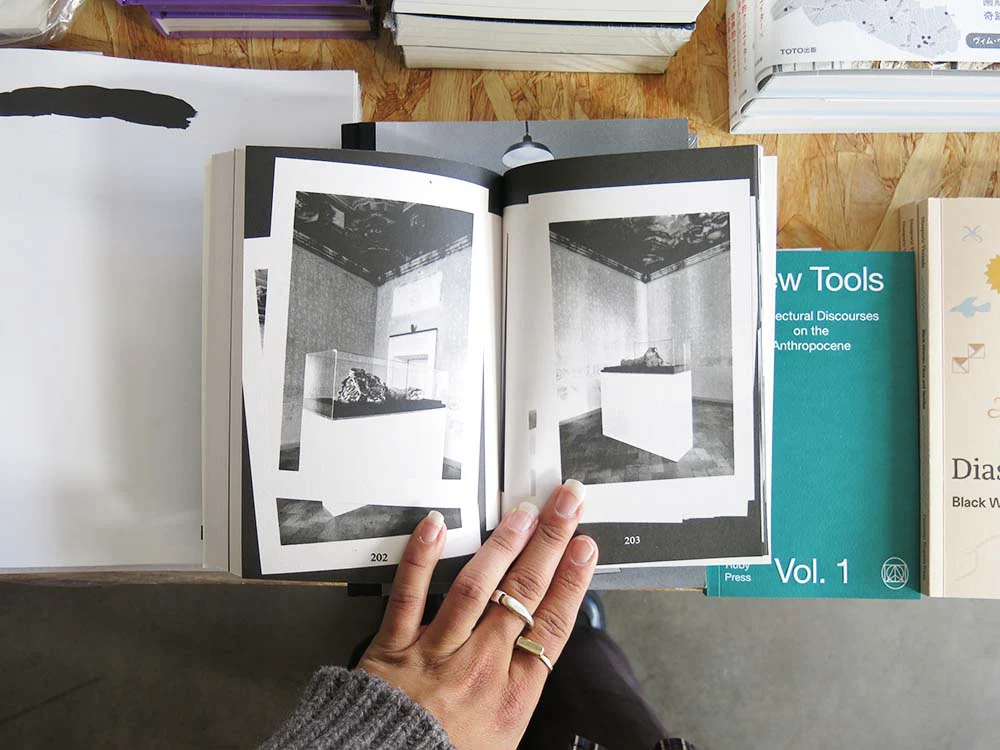 Alessandro Di Pietro: Ghostwriting Paul Thek - Image 3
