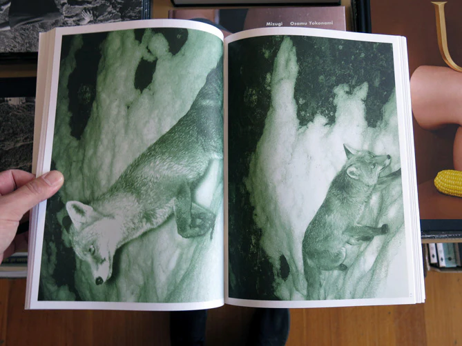 Alex Hanimann - Trapped - Image 4