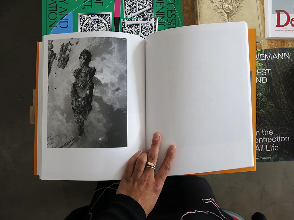 Ana Mendieta – Search for Origin - Image 5