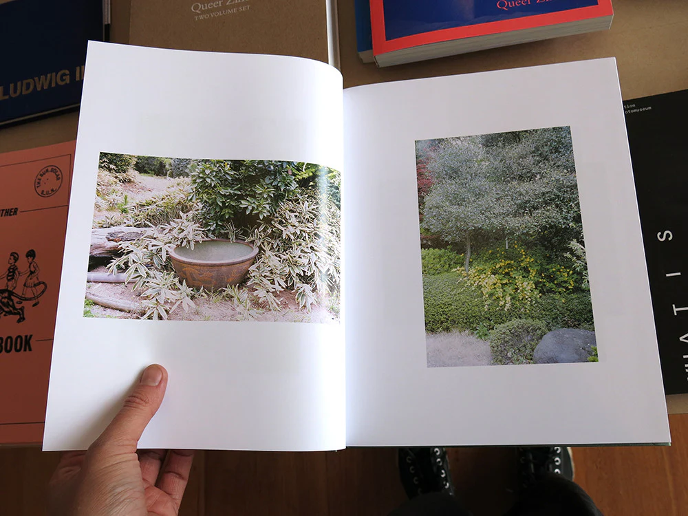 Anders Edström - Hanezawa Garden - Image 3