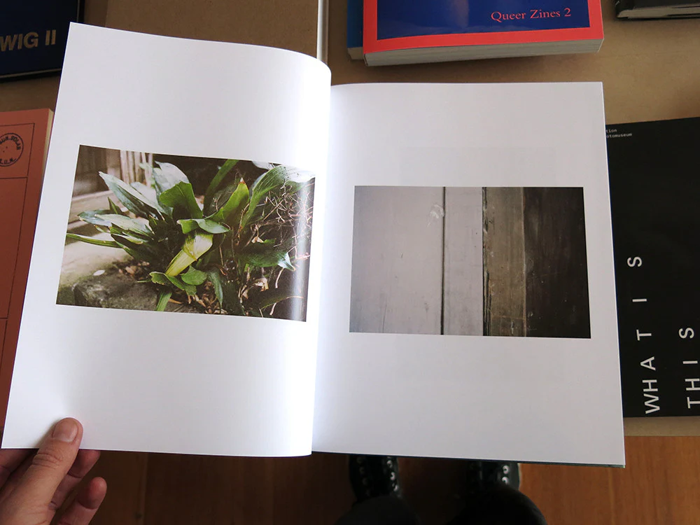 Anders Edström - Hanezawa Garden - Image 4