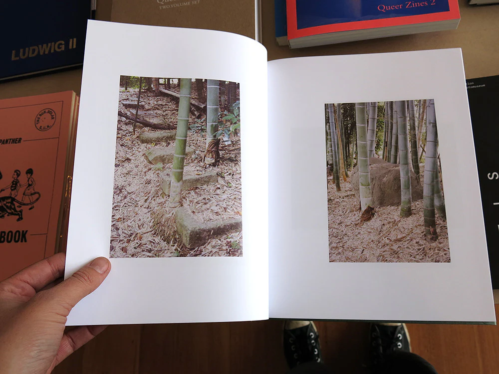 Anders Edström - Hanezawa Garden - Image 5