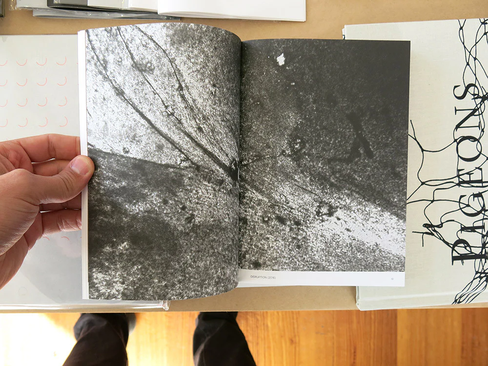 Anne Marie Maes - Alchimia Nova - Image 2