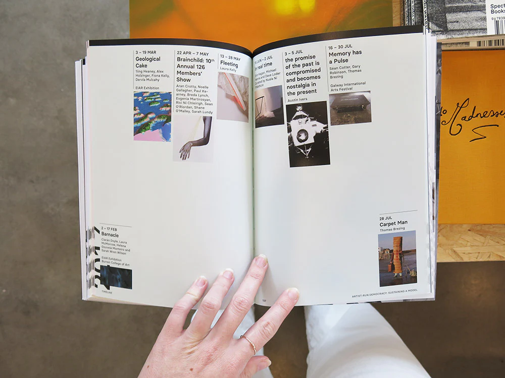 Artist-Run Democracy: Sustaining a Model - Image 8