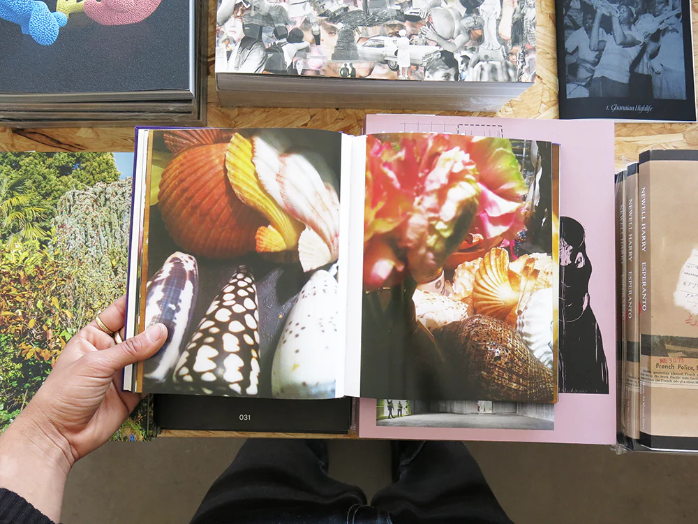Barry Rosen – See Shells - Image 5