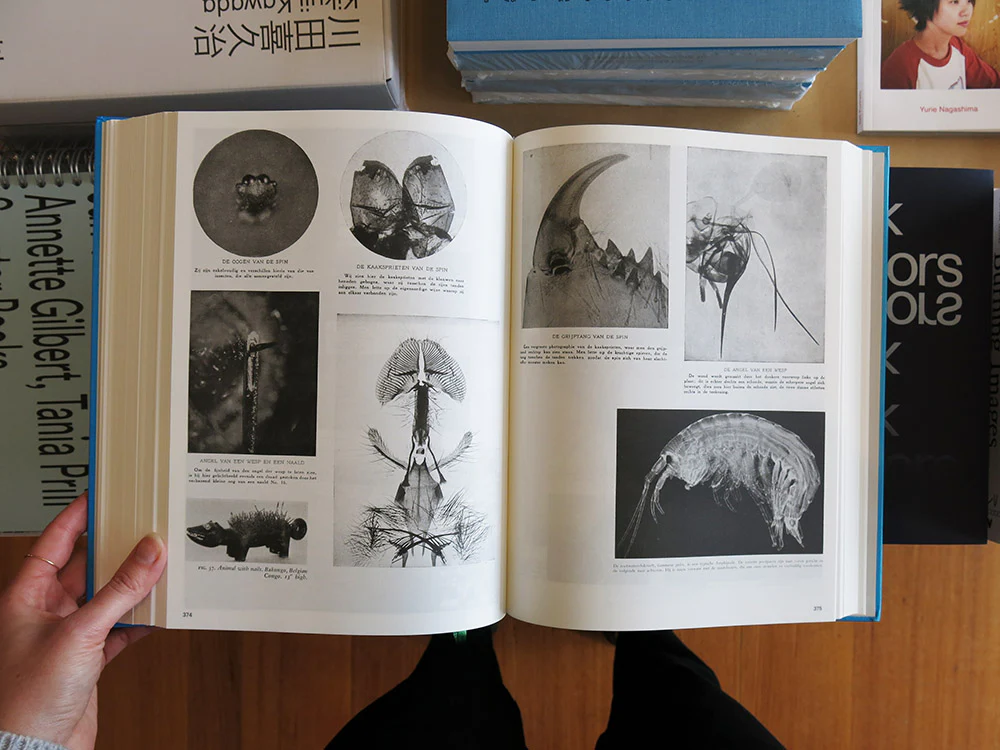 Batia Suter – Parallel Encyclopedia 1 - Image 6