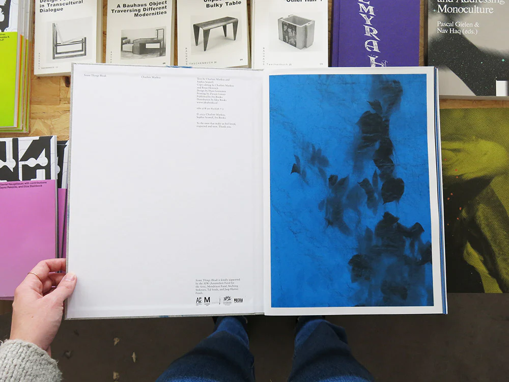 Charlott Markus – Some Things Bleak - Image 2