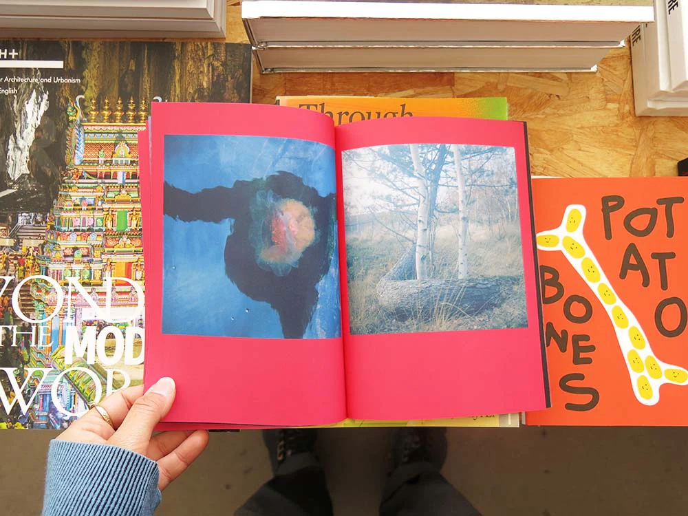 Charlotta Hammar – All Shelters Are Marked With A Sign - Image 4