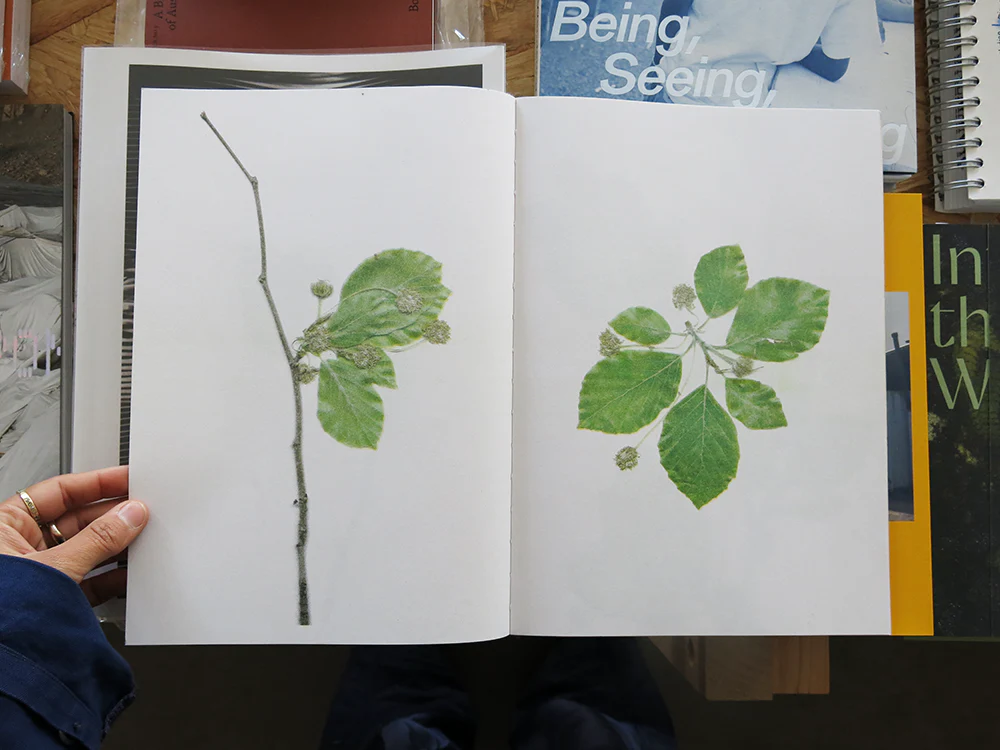 Christian+Jade – The beech at the end of a star - Image 6
