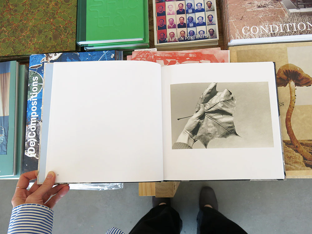 Christine Godden – Light Touch - Image 3