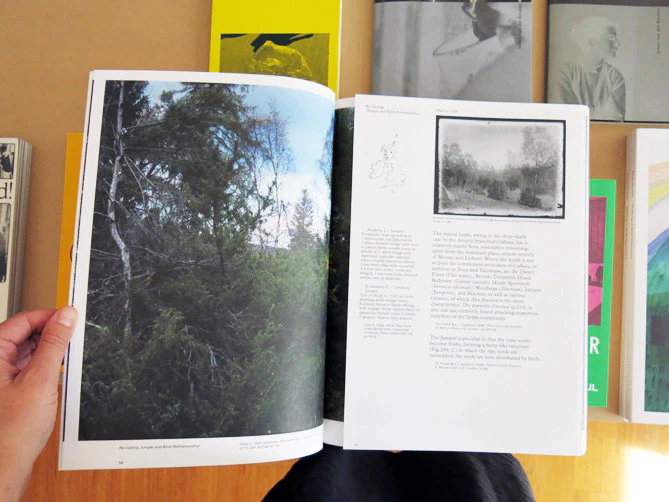 Chrystel Lebas - Field Studies - Image 6