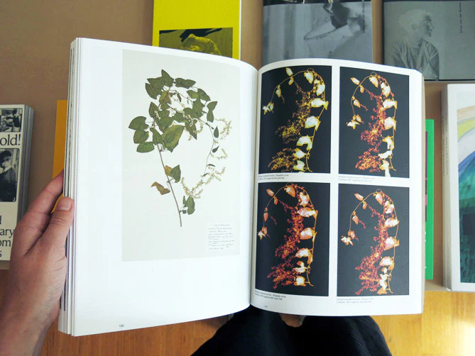 Chrystel Lebas - Field Studies - Image 8