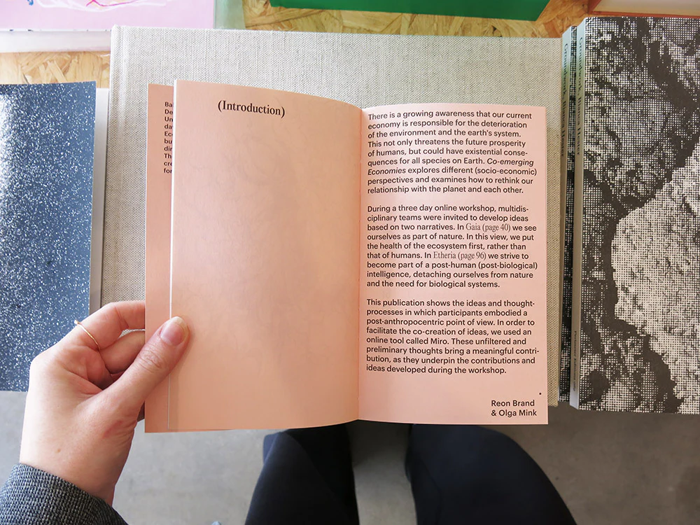 Co-emerging Economies: Exploring Radical Perspectives on Post-Anthropocentric Economies - Image 2