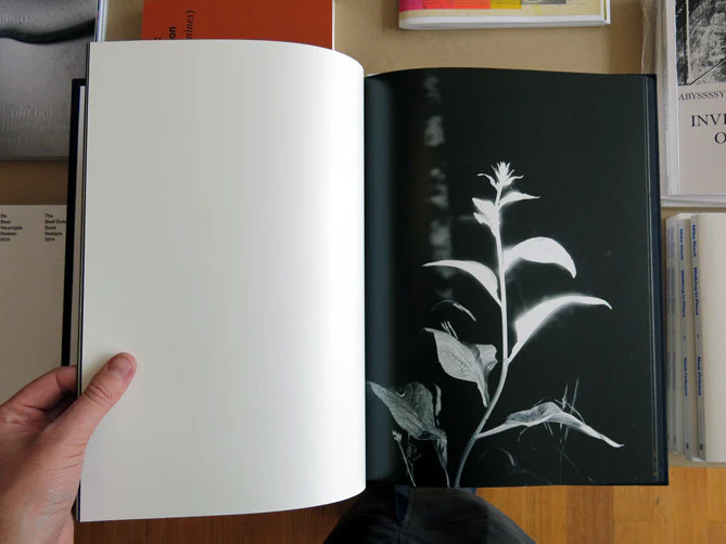 Coley Brown - Deeper Than Night - Image 5