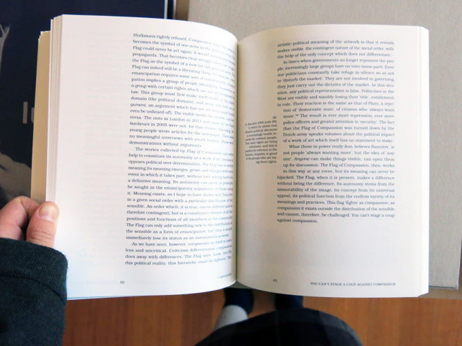 Compassion: A Paradox In Art And Society (Making Public) - Image 6