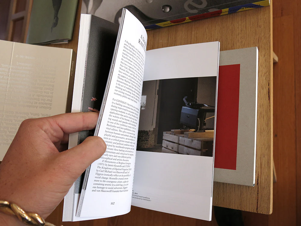 Contour 7 - Fooling Utopia - Image 5