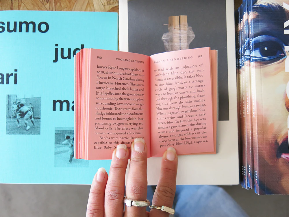 Cooking Sections – Salmon: A Red Herring - Image 8