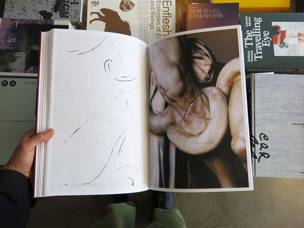 David Jiménez – ROMA - Image 7
