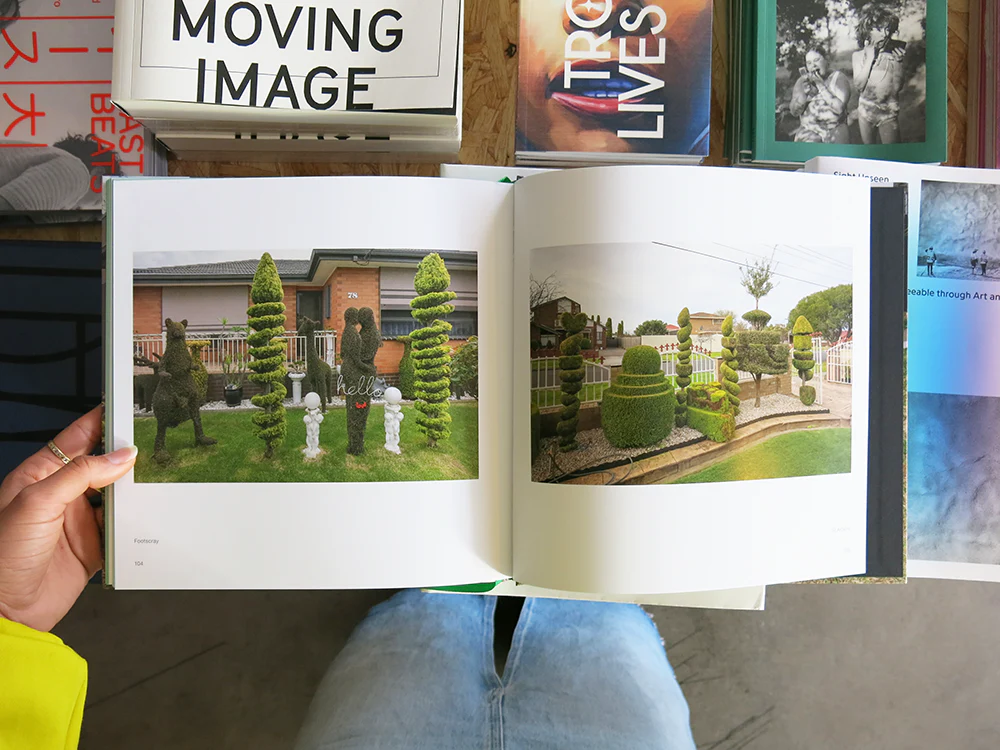 David Wadelton – Front Yard - Image 3