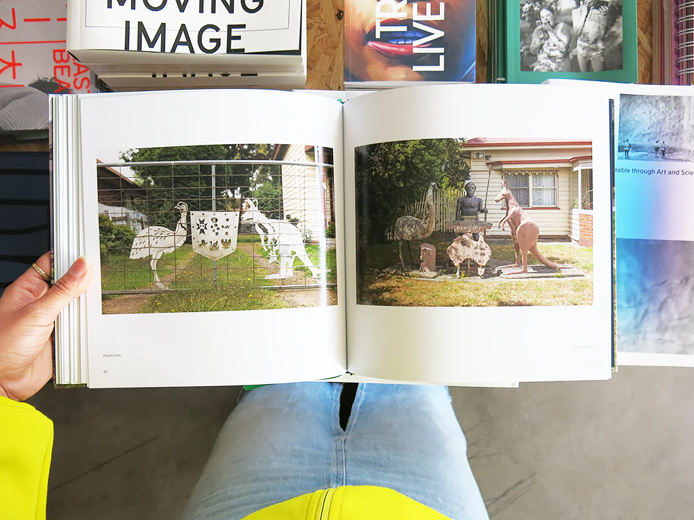 David Wadelton – Front Yard - Image 5