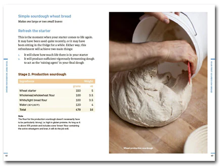 Do Sourdough: Slow bread for busy lives - Image 2