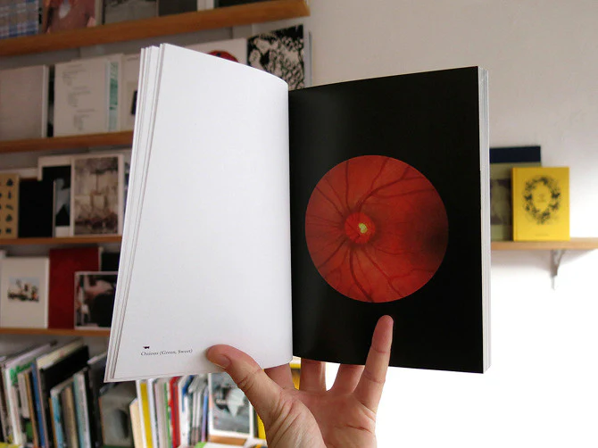 Elad Lassry - On Onions - Image 3