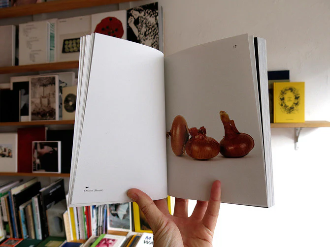 Elad Lassry - On Onions - Image 4