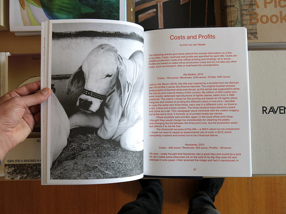 Erik van der Weijde - This Is Not My Book - Image 3