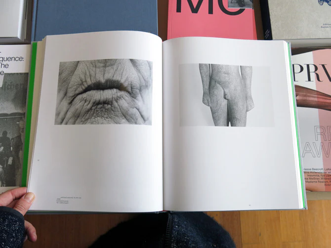 Eugenia Raskopoulos - Vestiges of the Tongue - Image 3