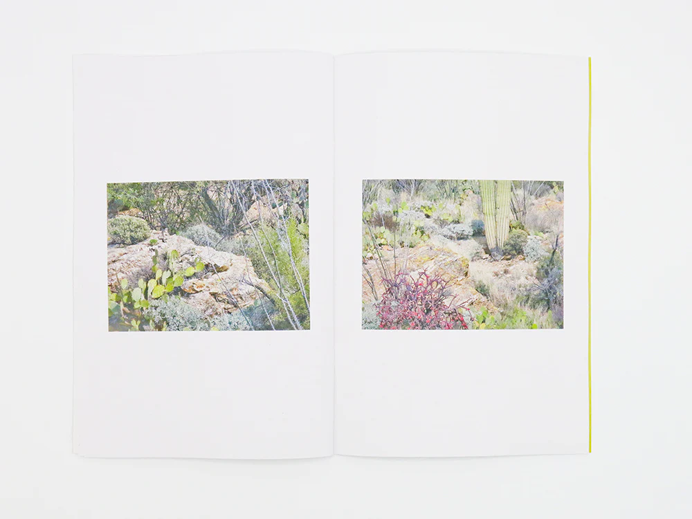 Félicia Atkinson – Ambient Park - Image 7