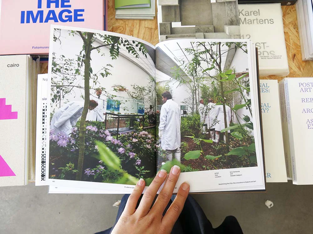 Felicity Fenner – Shifting Ground - Image 2