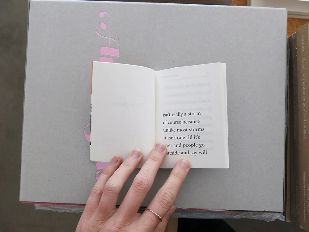 John Ashbery – The Ice Storm - Image 2