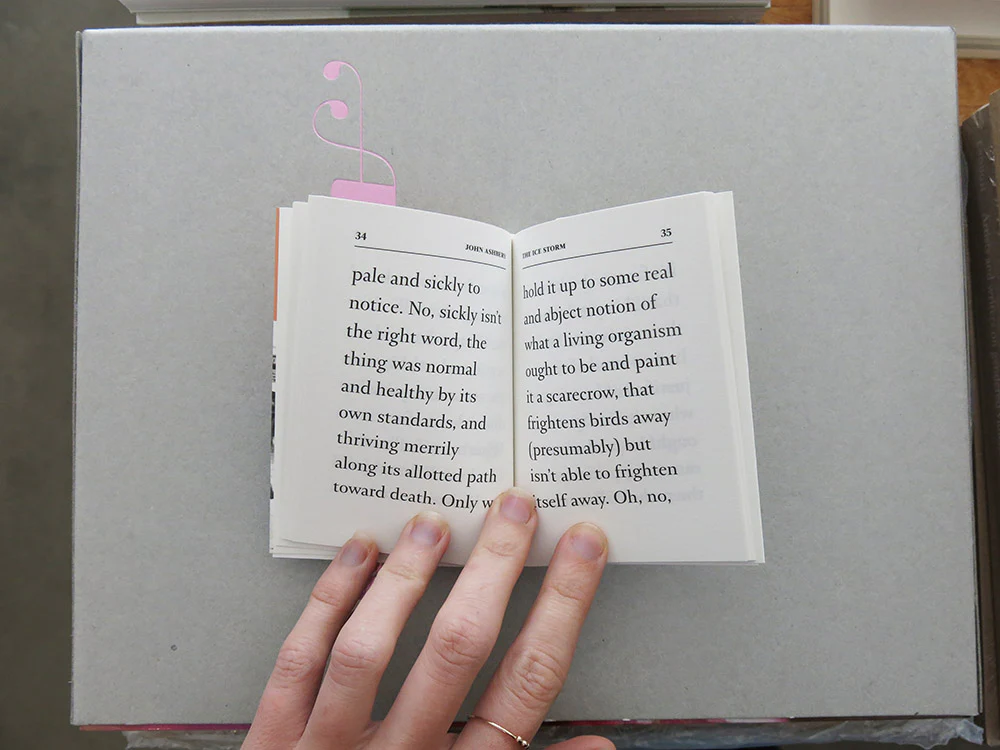 John Ashbery – The Ice Storm - Image 4