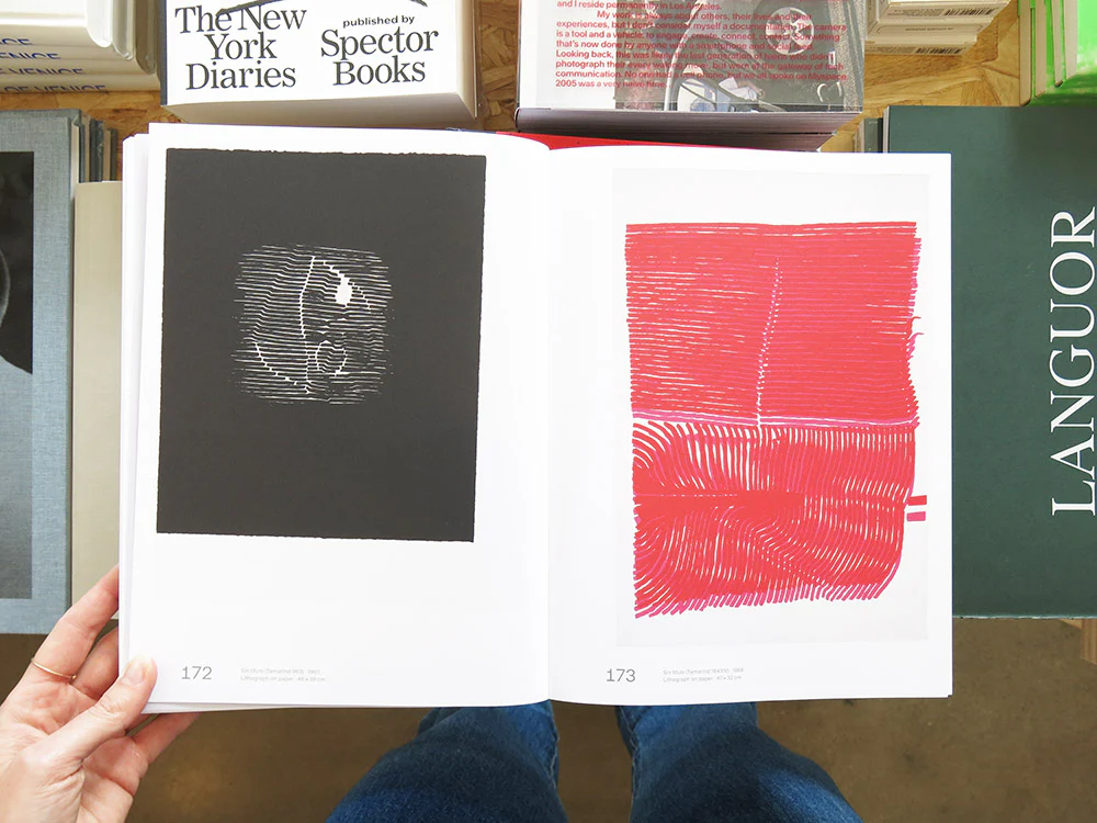 Gego. The Architecture of an Artist - Image 8