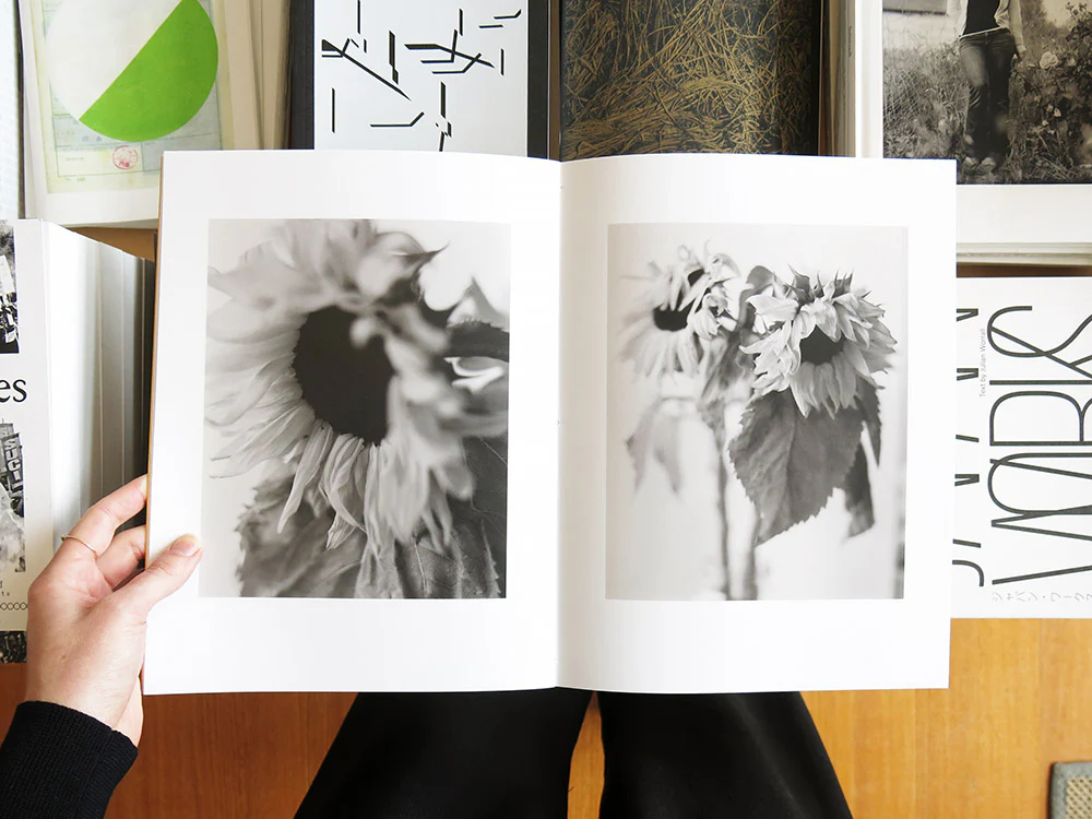 Gen Kay – Sunflowers - Image 6
