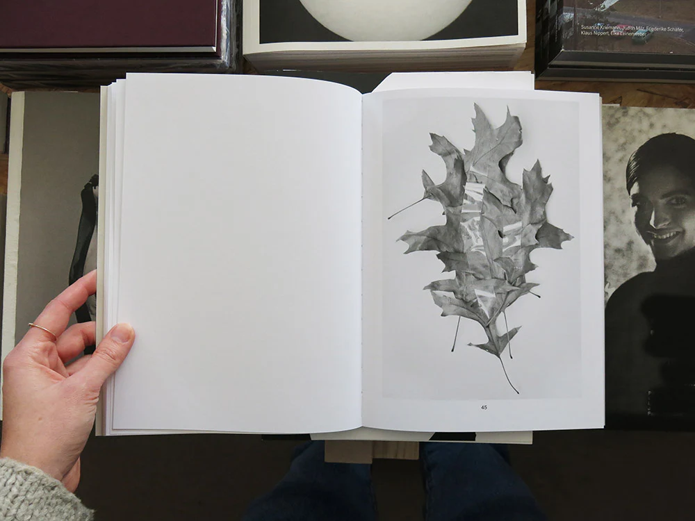 Géraldine Jeanjean – Rock-paper-roots - Image 6