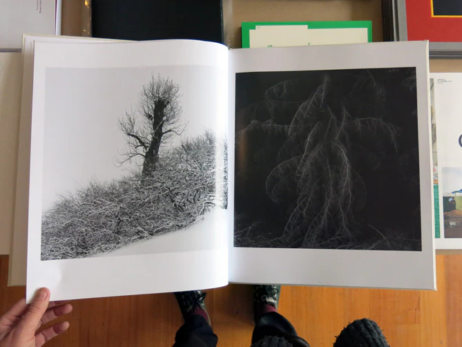 Gunmar Smoliansky - Träd - Image 4