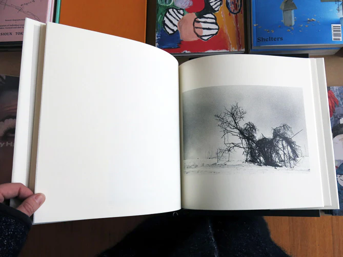 Hajime Kimura - Kodama - Image 5