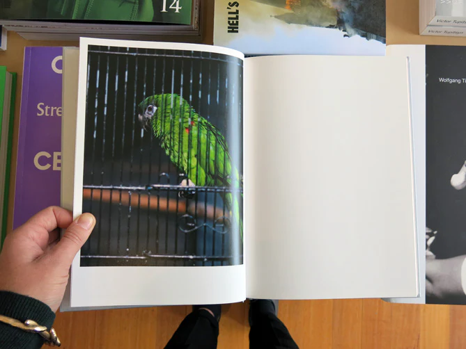 Hiroyuki Takenouchi – The Fourth Wall - Image 6