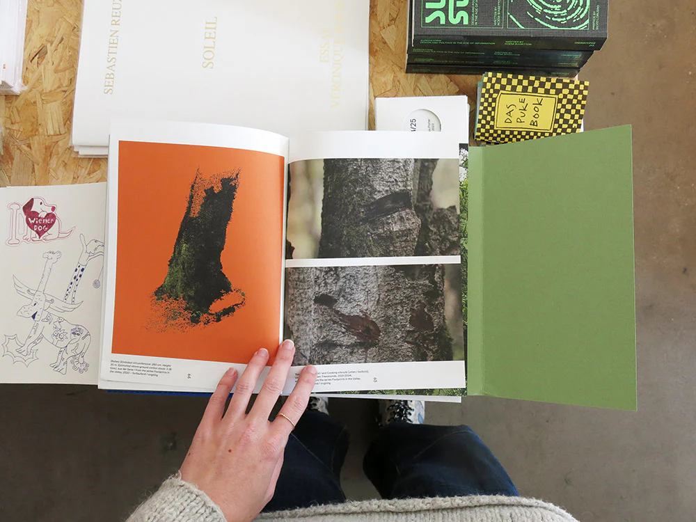 Into the Woods: Perspectives on Forest Ecosystems - Image 5