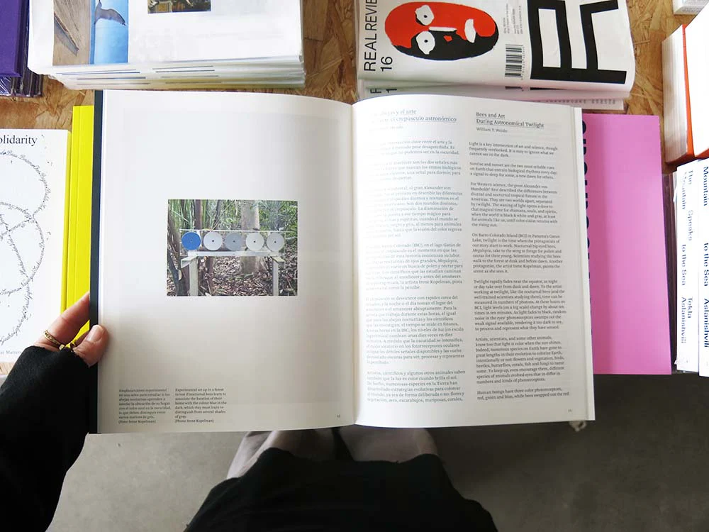 Irene Kopelman – A Matter of Framing. Notes on Representation Vol. 13 - Image 9