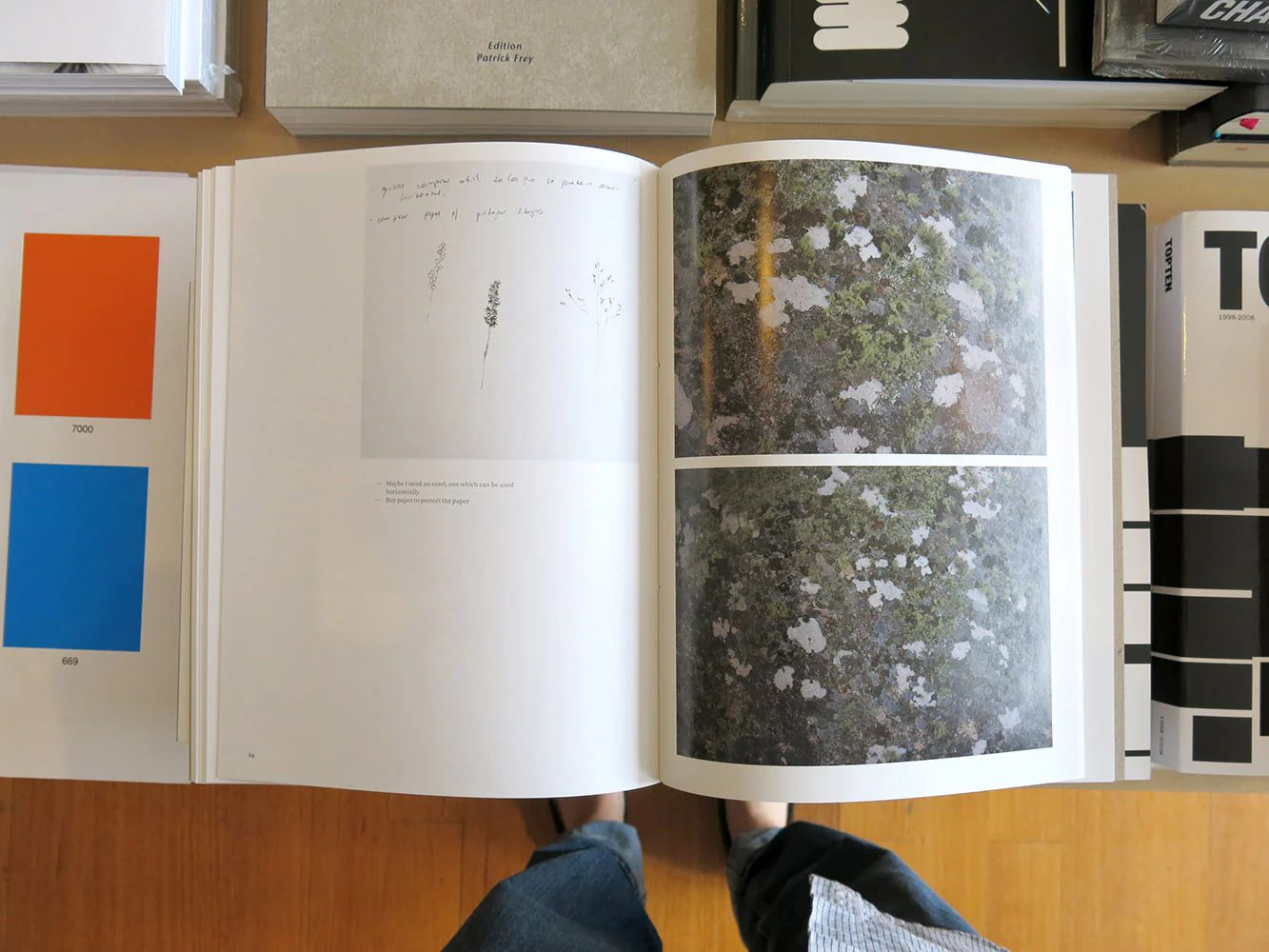 Irene Kopelman – Cardinal Points - Image 6
