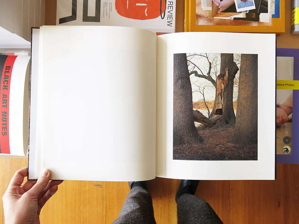 Irina Rozovsky – In Plain Air - Image 4