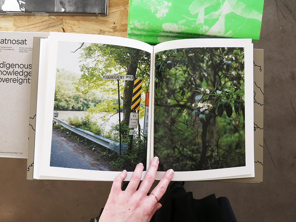 Jake Reinhart – Laurel Mountain Laurel - Image 8